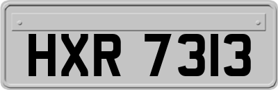 HXR7313