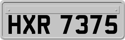 HXR7375