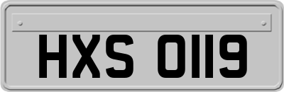 HXS0119