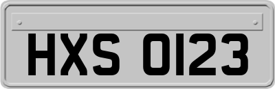 HXS0123