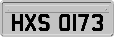 HXS0173