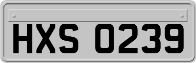 HXS0239
