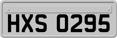 HXS0295