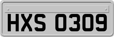 HXS0309
