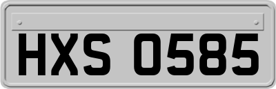 HXS0585