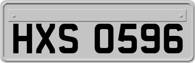 HXS0596