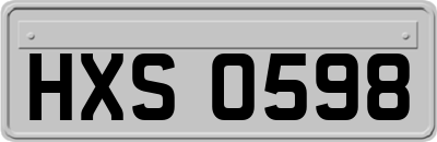 HXS0598