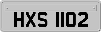 HXS1102
