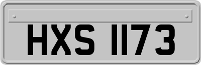 HXS1173