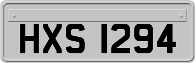 HXS1294