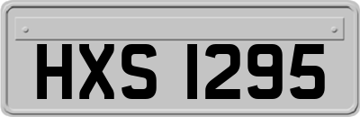 HXS1295