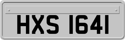 HXS1641