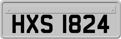 HXS1824