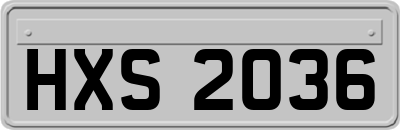 HXS2036
