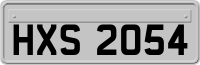 HXS2054