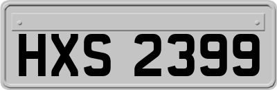 HXS2399
