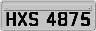 HXS4875