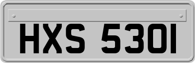 HXS5301