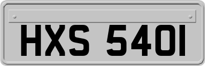 HXS5401