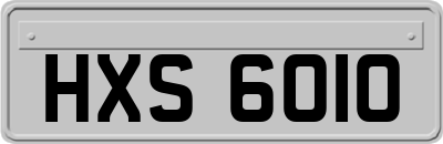 HXS6010