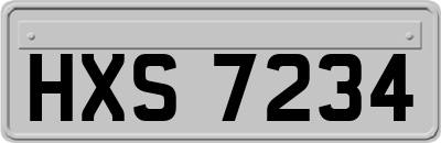 HXS7234
