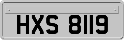 HXS8119
