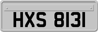 HXS8131