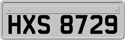 HXS8729