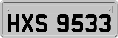 HXS9533