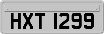 HXT1299