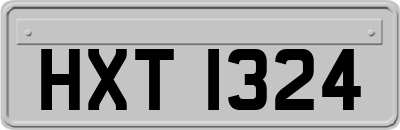 HXT1324