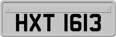 HXT1613