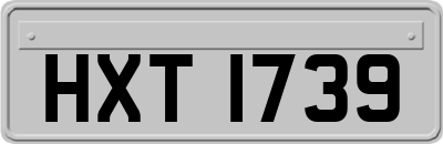 HXT1739