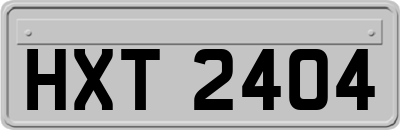 HXT2404