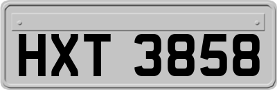 HXT3858