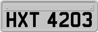 HXT4203