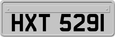HXT5291