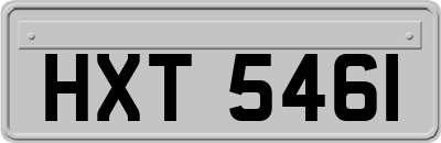 HXT5461