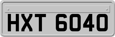 HXT6040