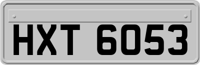 HXT6053
