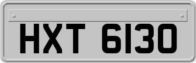 HXT6130