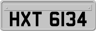HXT6134