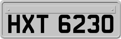 HXT6230