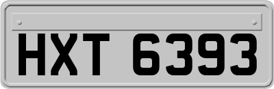 HXT6393