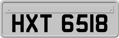 HXT6518
