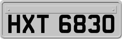 HXT6830
