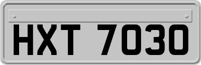 HXT7030