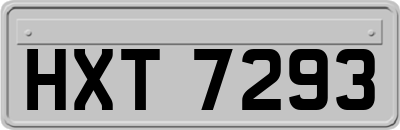 HXT7293