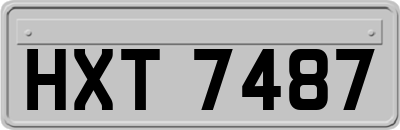 HXT7487