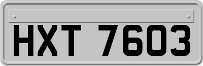 HXT7603